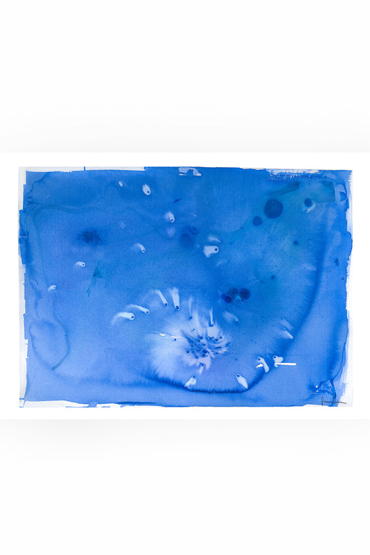 THE BEGINNING OF LIFE