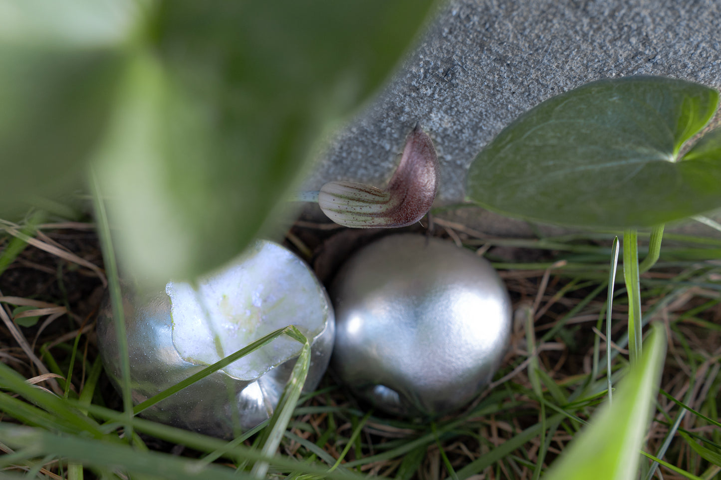 SILVER APPLE