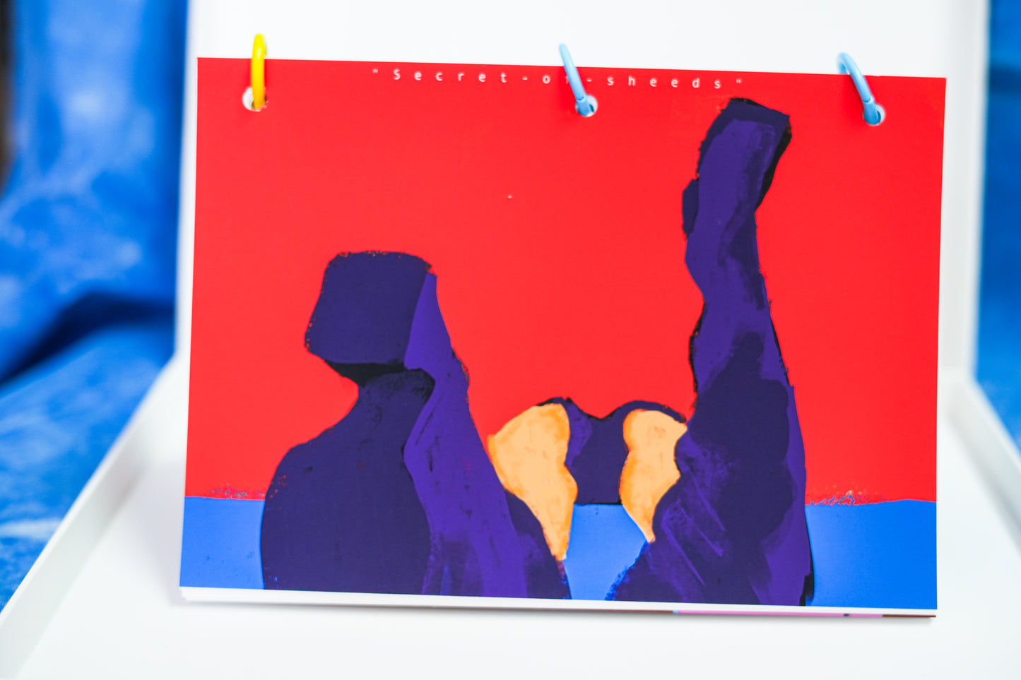 BOOK / Anna Voda studio